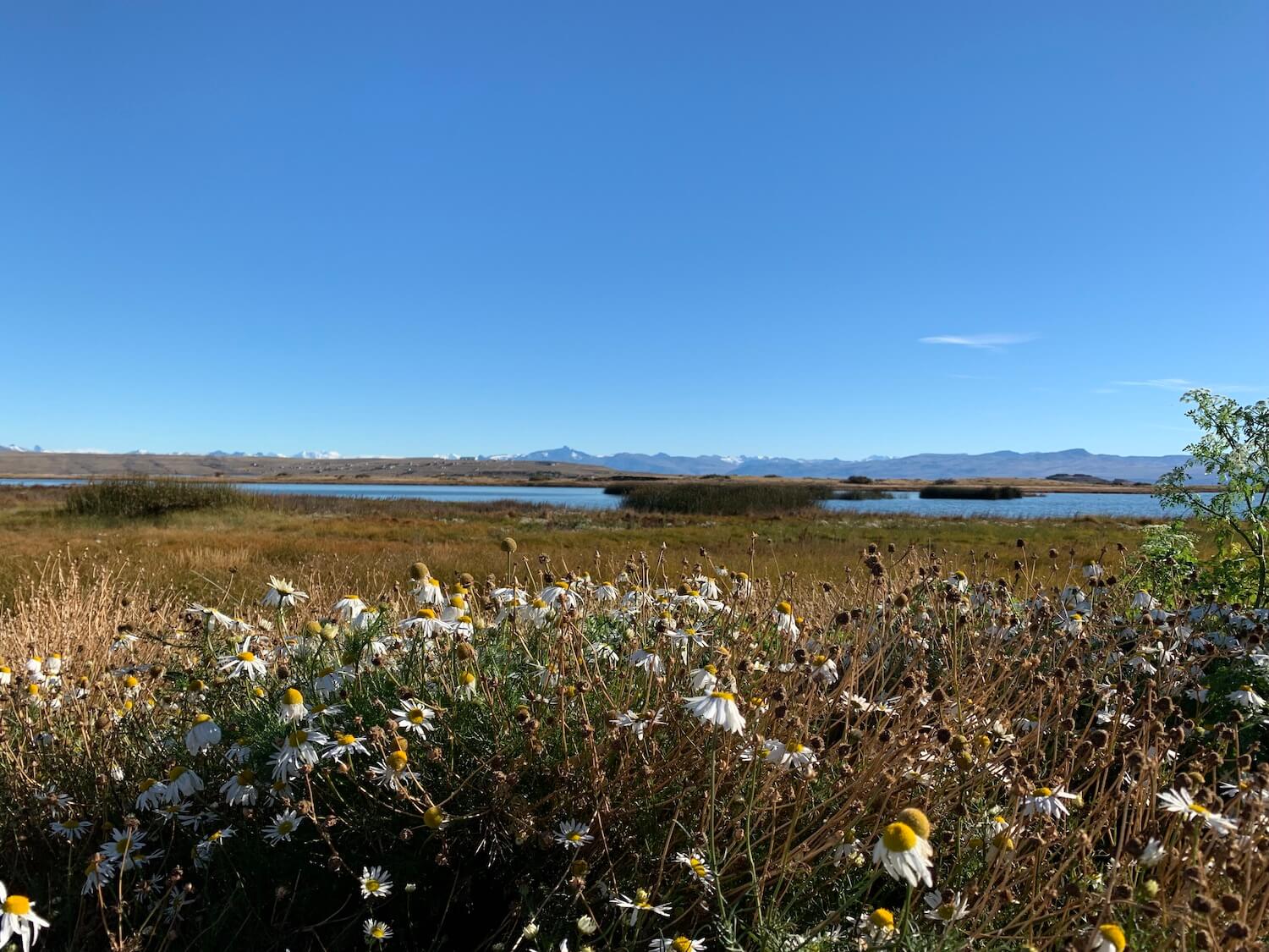 El Calafate, Argentina