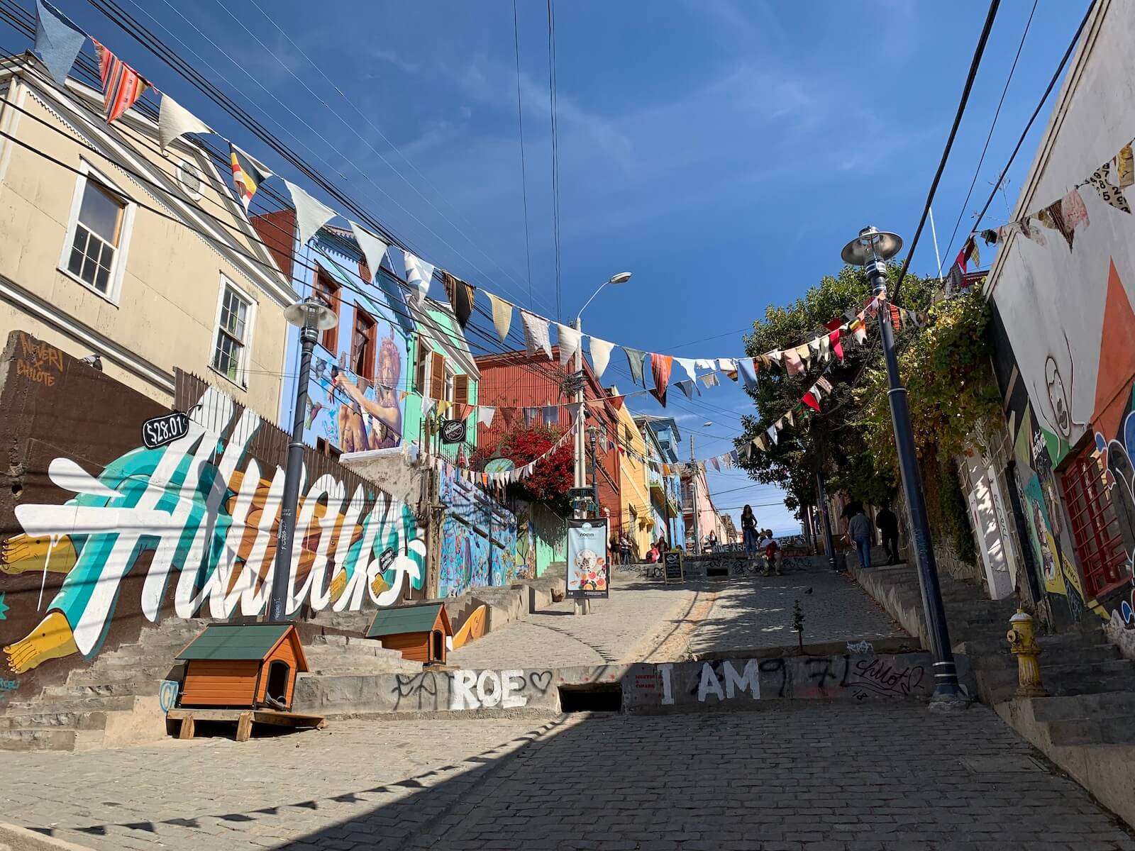 Valparaiso Cerro Concepcion